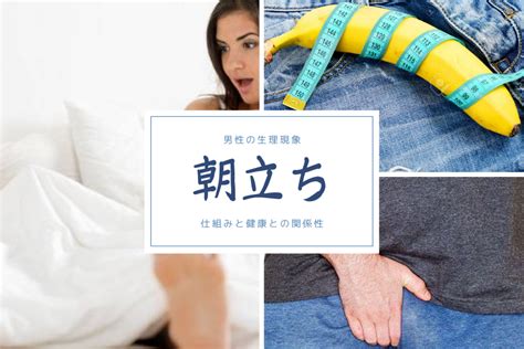 朝立ち しない 原因|朝立ちするのはいつまで？年齢との関係と減ったとき。